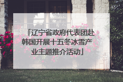 辽宁省政府代表团赴韩国开展十五冬冰雪产业主题推介活动